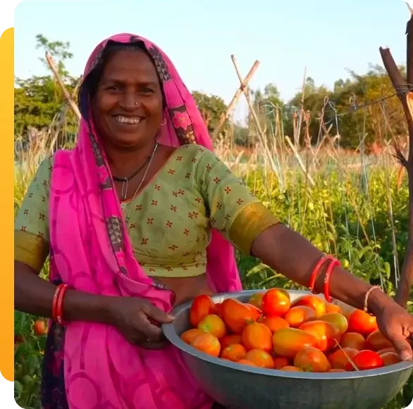 Documentary-Style Films