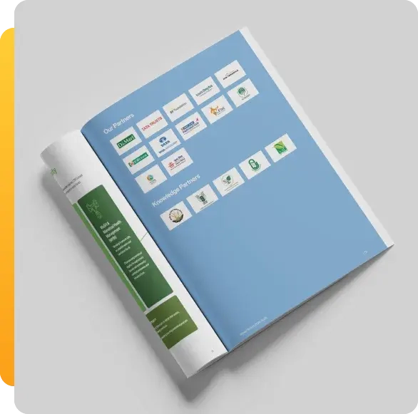 people, stories and stakeholder engagement