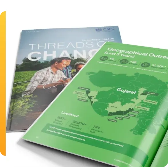 Program Impact & Outcomes