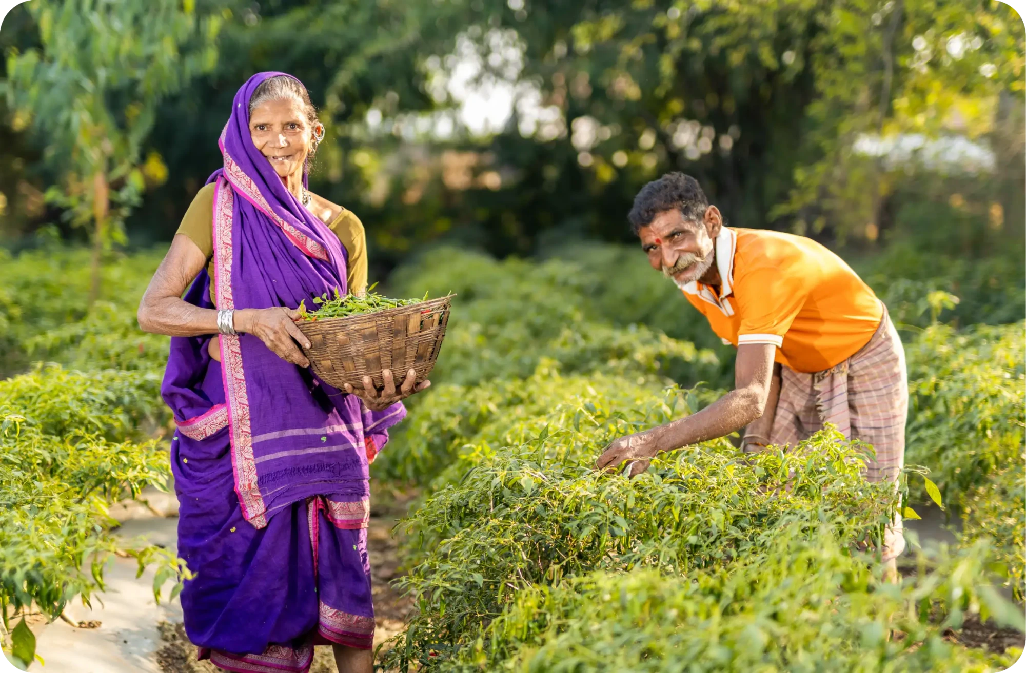 The vision that guides our work