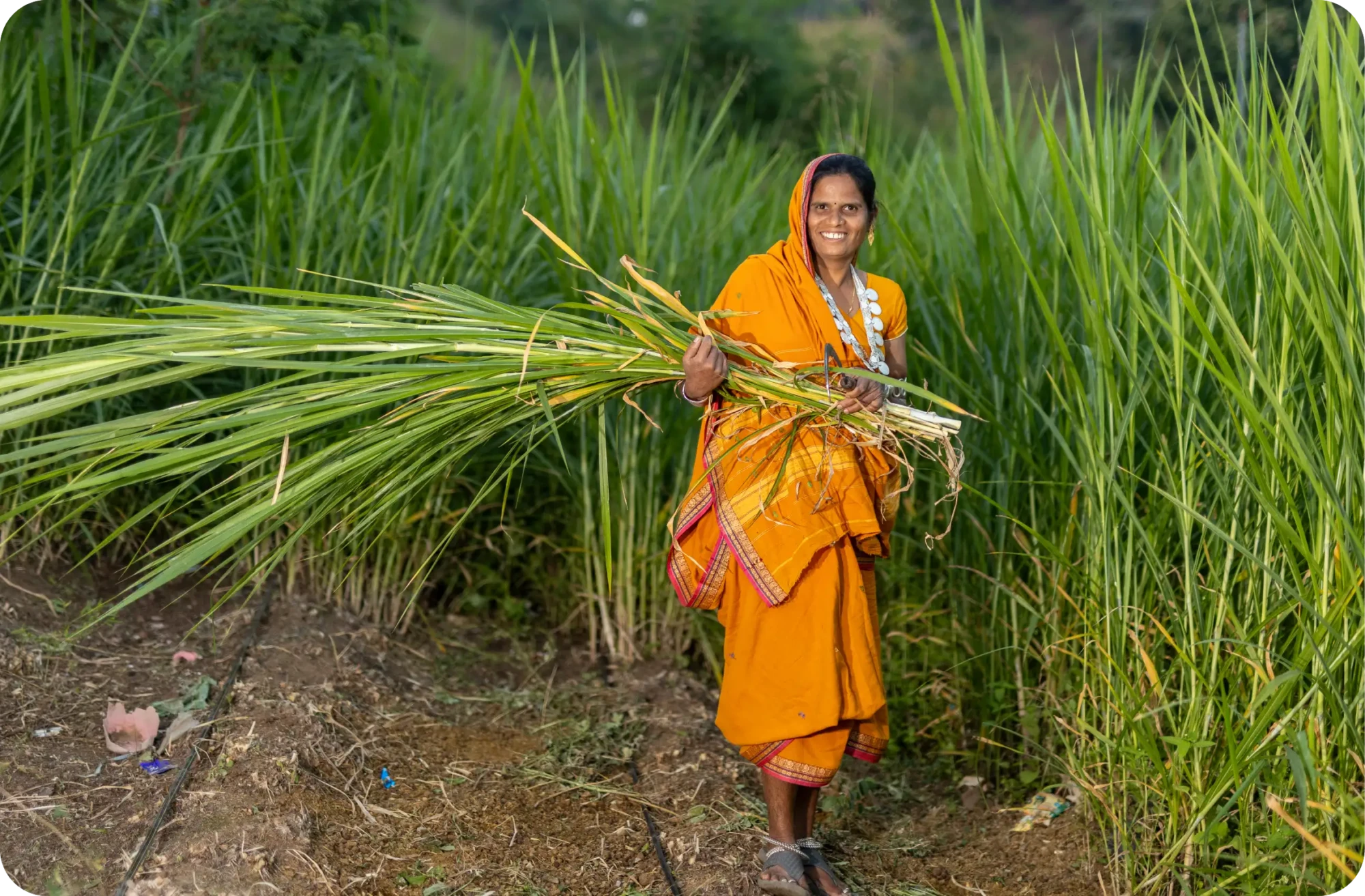 The vision that guides our work_