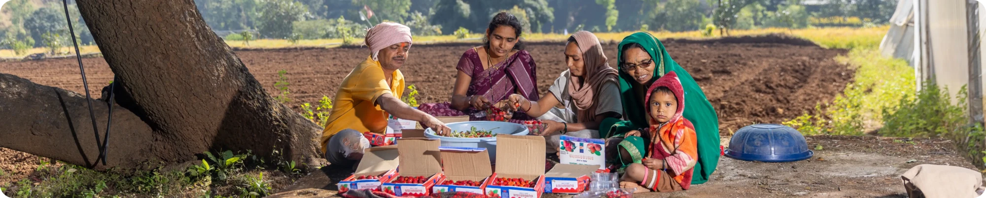 WHAT WE BRING ALIVE INSIDE YOUR ANNUAL REPORT (banner) 1