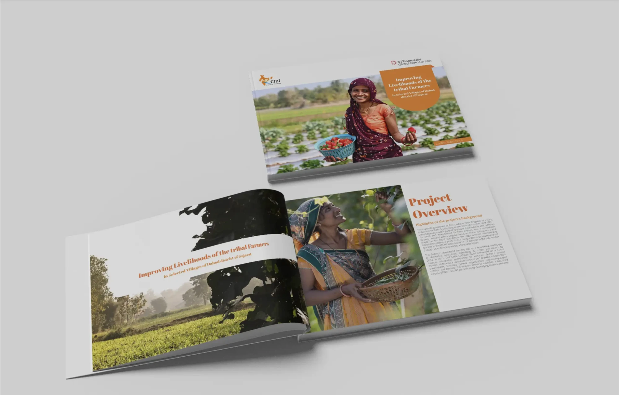 A Step-by-Step Checklist Before Designing an NGO Coffee Table Book in India