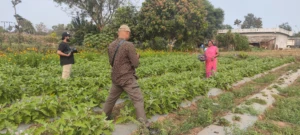 Why Many Development Sector Films Fail to Create Impact_ The 10-Second Grave (Banner)