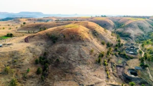 DJI_20260117082146_0384_D